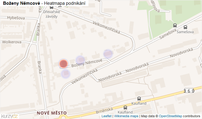 Mapa Boženy Němcové - Firmy v ulici.