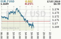 Online graf kurzu usd/eur