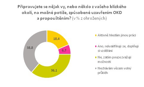 Zdroj: Průzkum Wincott People, březen 2017. Na tuto otázku odpovídalo 255 osob ohrožených situací kolem OKD.
